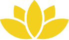 Opzet website-03